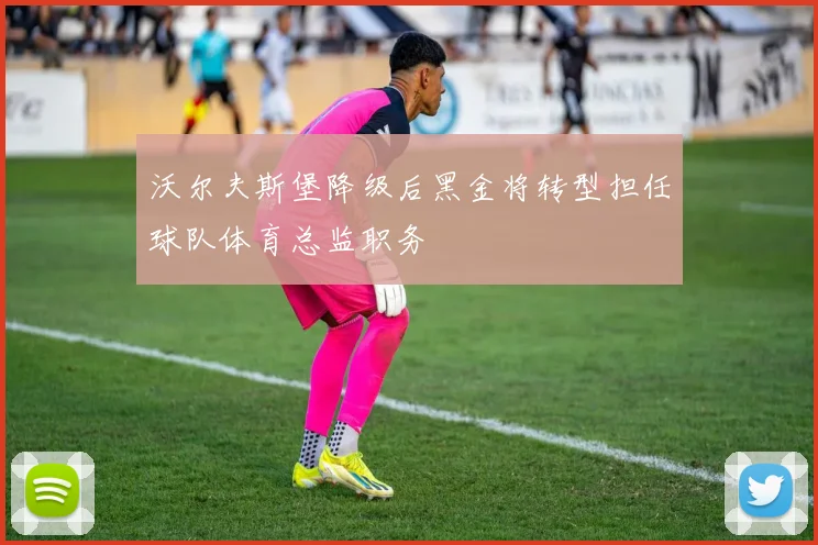 沃尔夫斯堡降级后黑金将转型担任球队体育总监职务