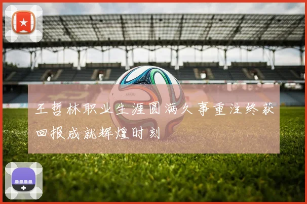 王哲林职业生涯圆满久事重注终获回报成就辉煌时刻